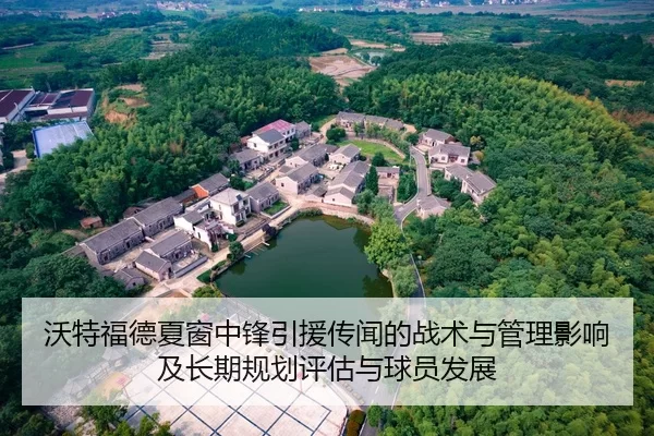 wo-te-fu-de-xia-chuang-zhong-feng-yin-yuan-chuan-wen-de-zhan-shu-yu-guan-li-ying-xiang-ji-chang-qi-gui-hua-ping-gu-yu-2-340.jpg