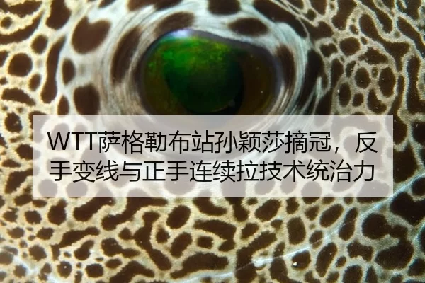 sa-ge-lei-bu-zhan-sun-ying-sha-zhai-guan-fan-shou-bian-xian-yu-zheng-shou-lian-xu-la-ji-shu-tong-zhi-li-2-574.jpg