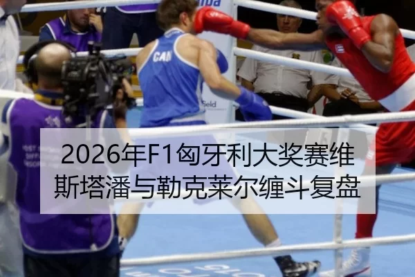 nian-xiong-ya-li-da-jiang-sai-wei-si-ta-pan-yu-lei-ke-lai-er-chan-dou-fu-pan-2-589.jpg